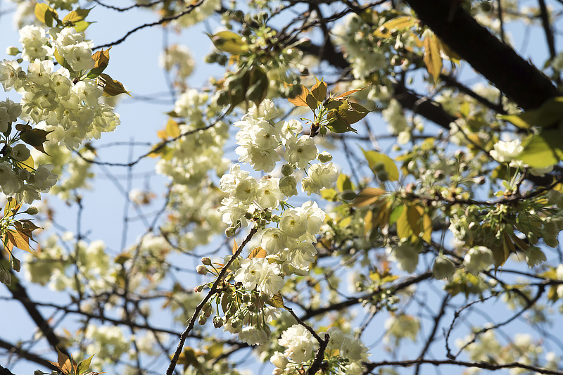 image0112