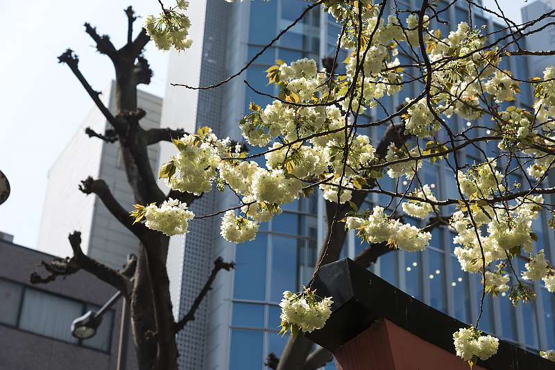 image0114
