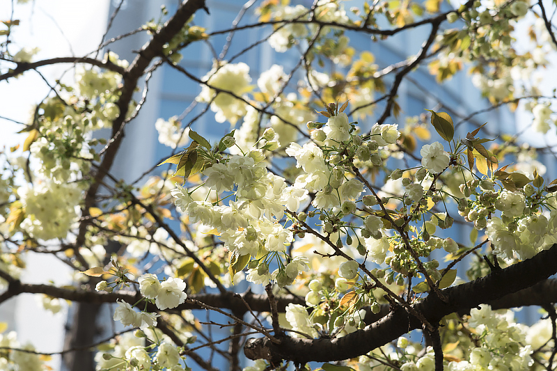 image0116