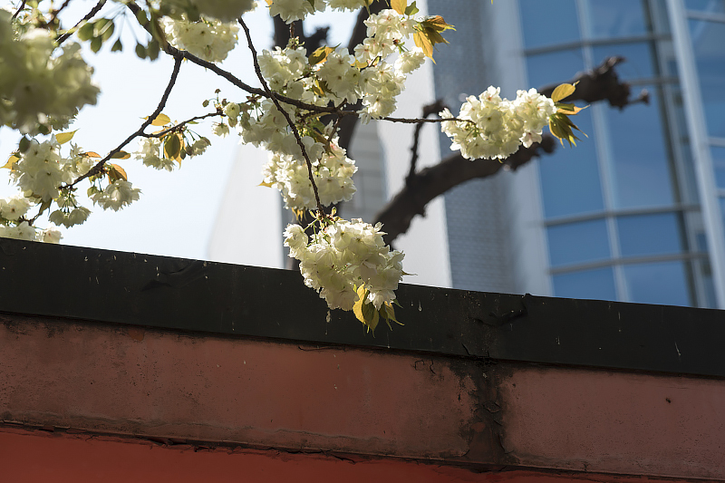 image0120