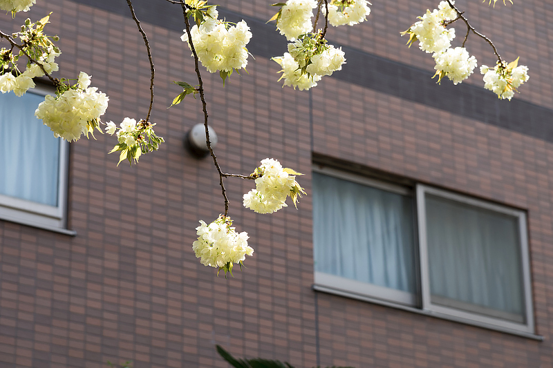 image0122