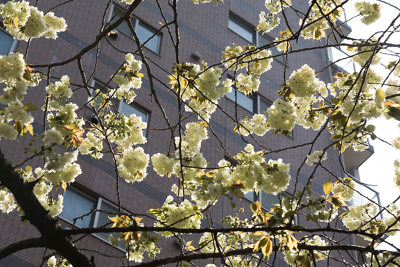 image0123