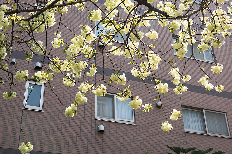 image0124
