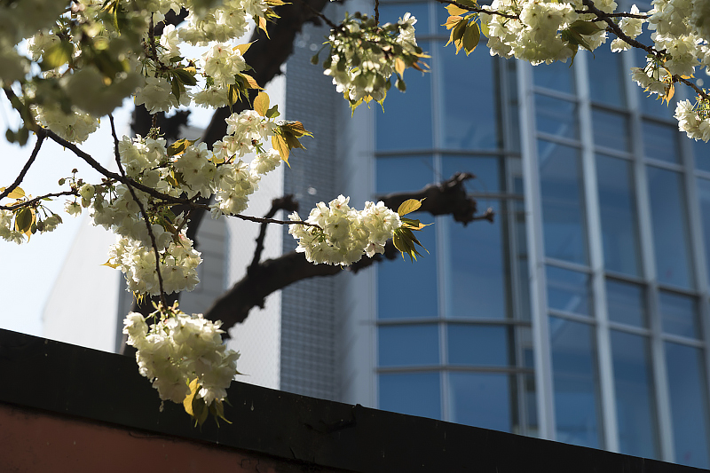 image0125