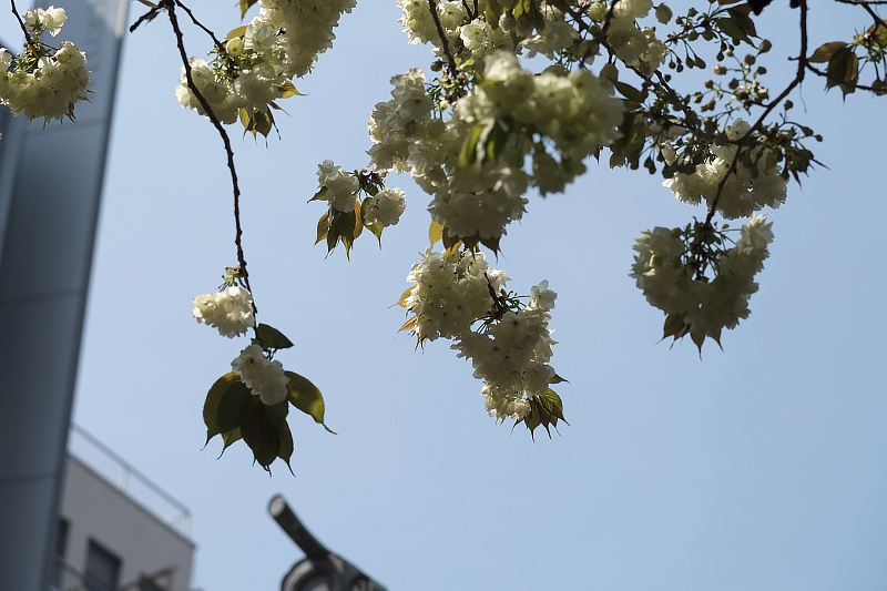 image0127