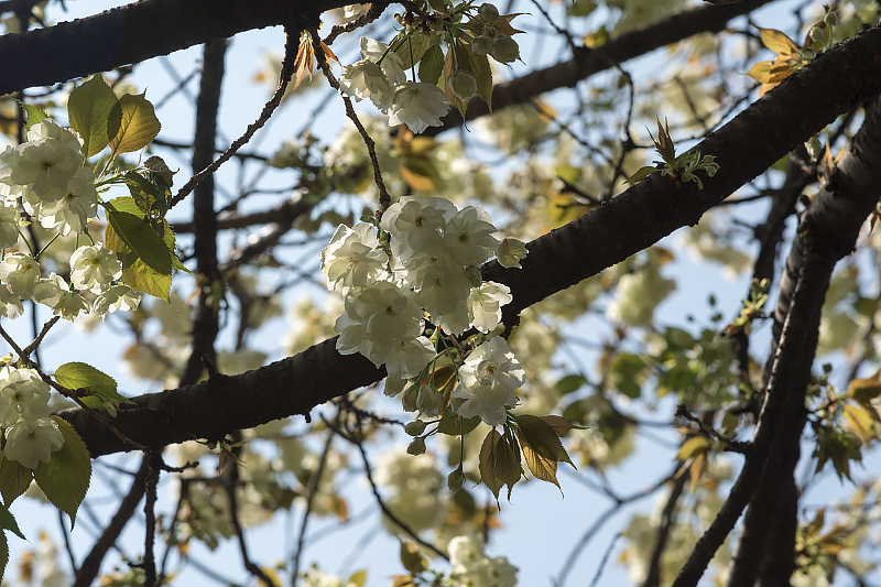 image0128