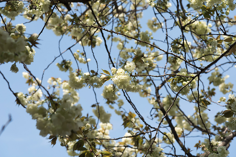 image0130
