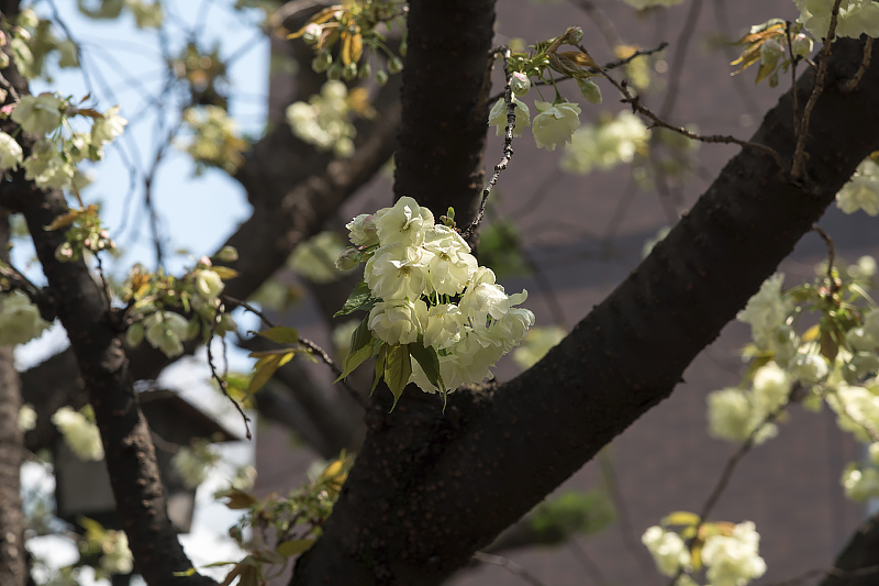 image0134