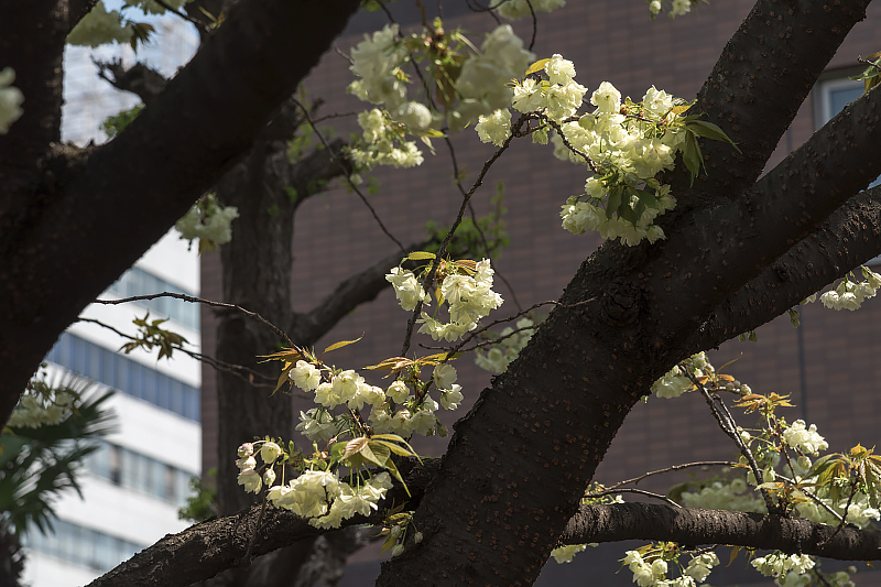 image0135