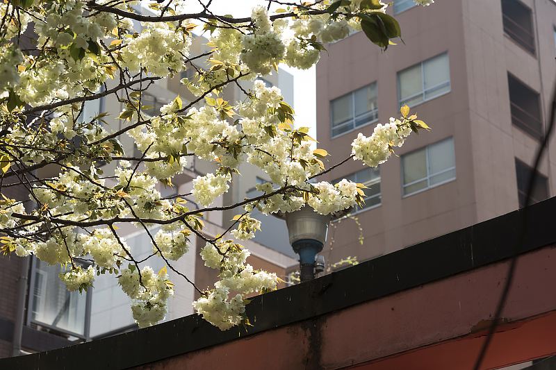 image0140