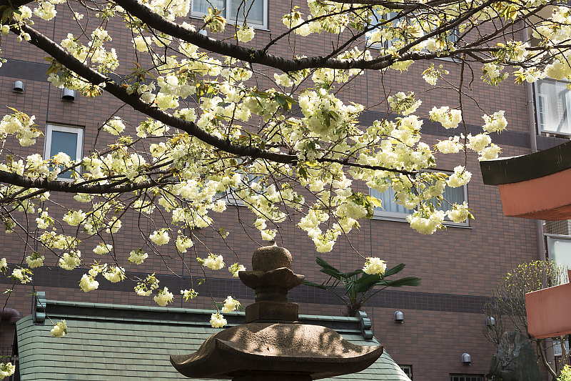 image0141
