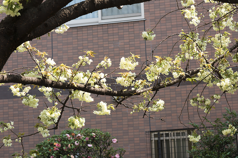 image0142