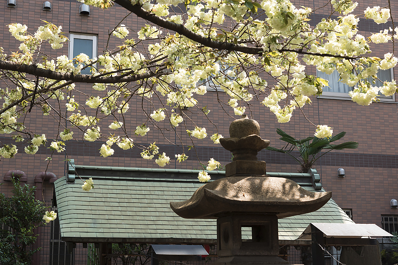 image0143