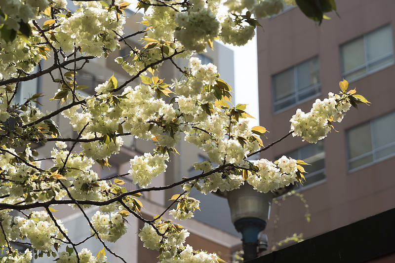 image0145