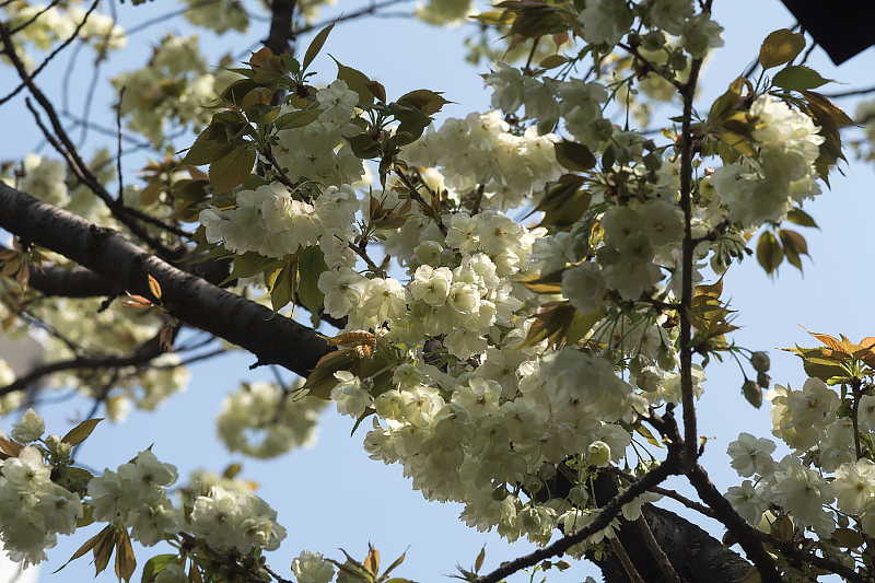 image0149