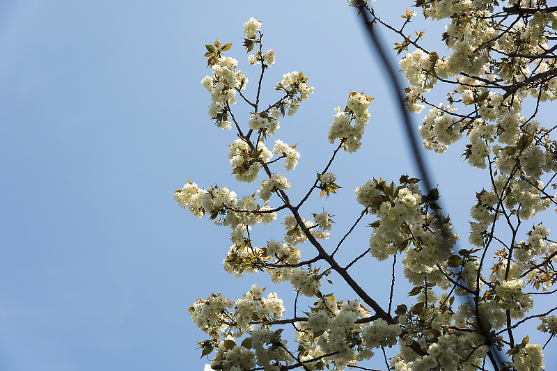 image0150