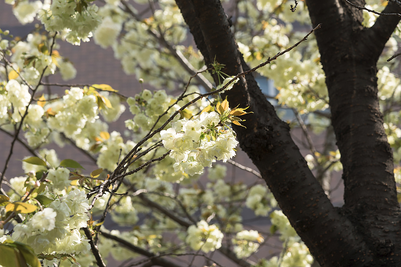 image0151