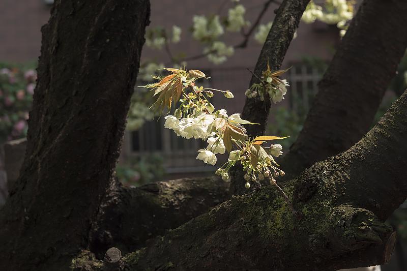 image0152
