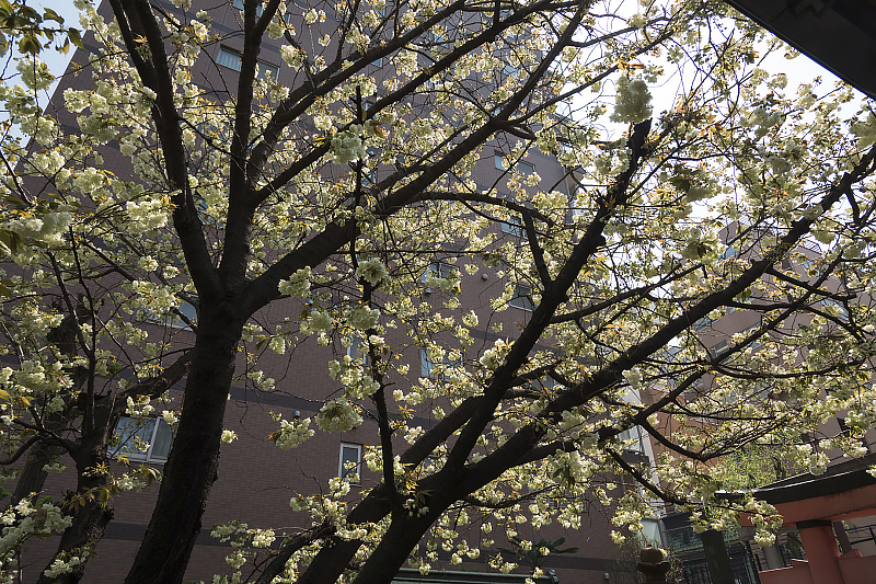 image0153