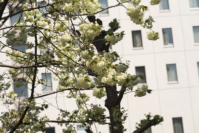 image0169