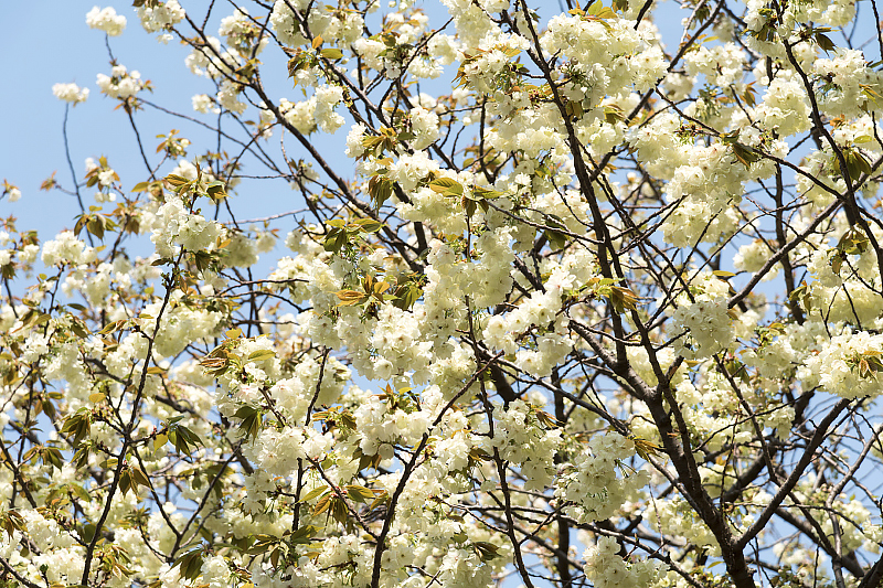 image0172