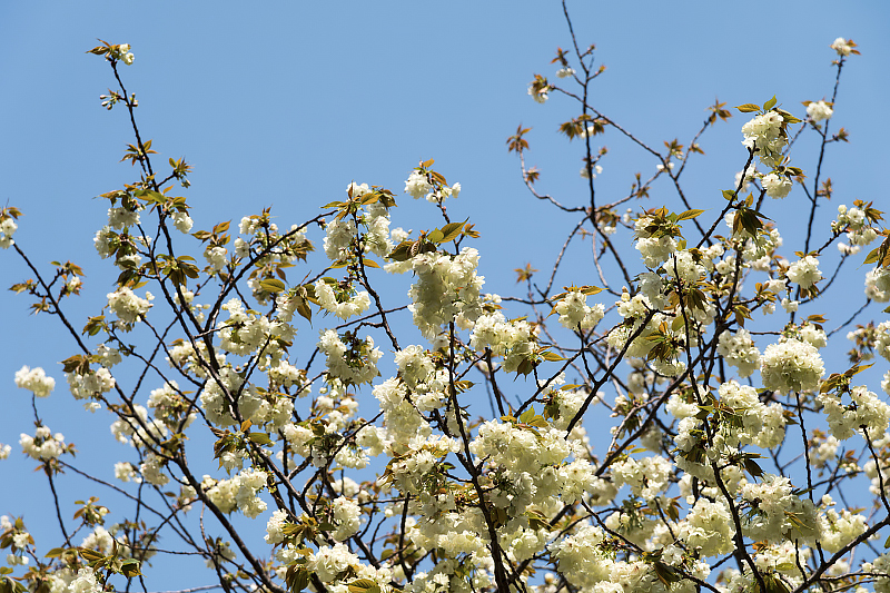 image0173