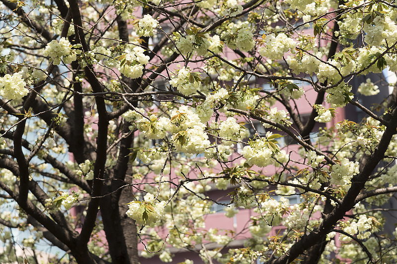 image0175