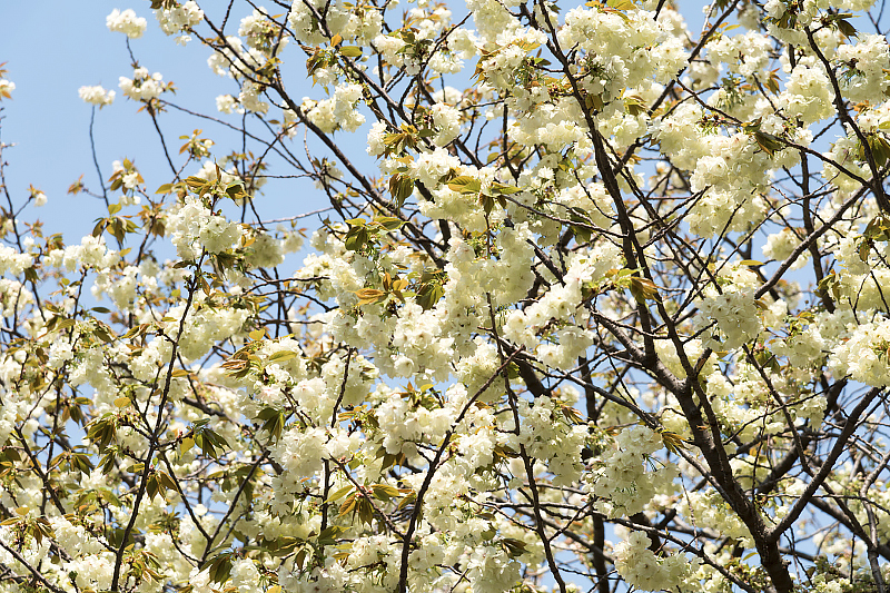 image0176