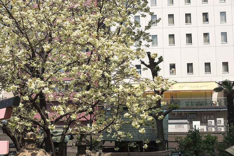image0181