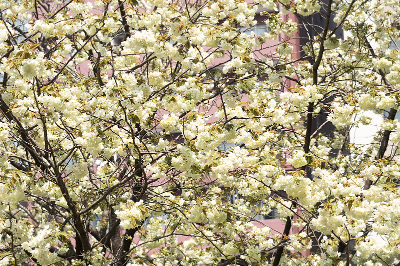 image0183