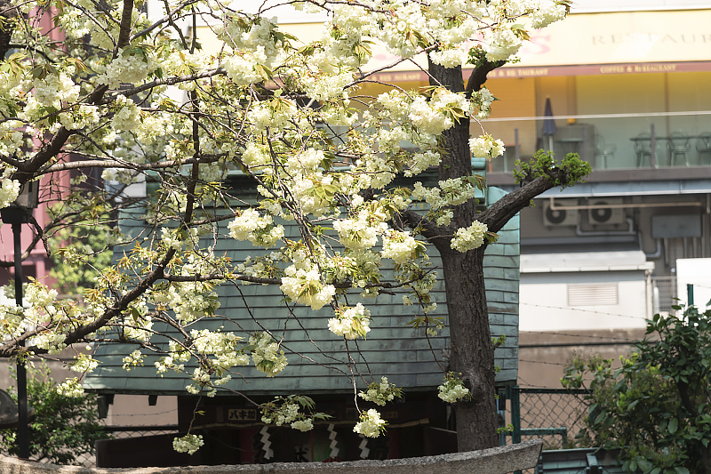 image0186