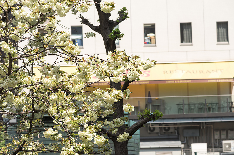 image0187