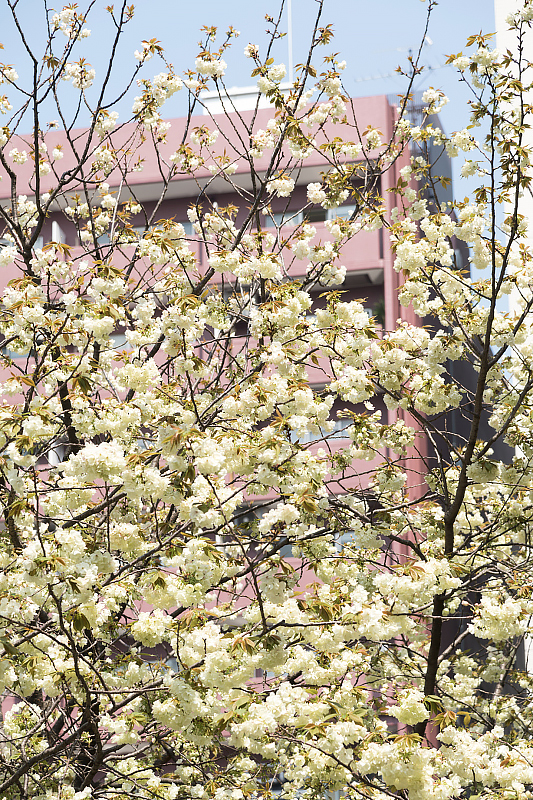 image0189