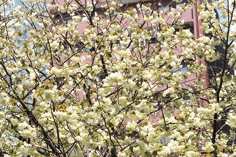 image0192