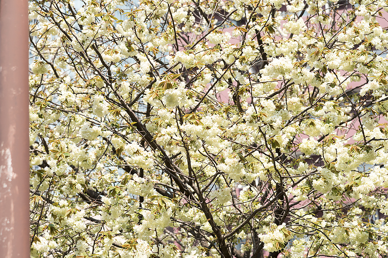 image0193