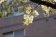 image0098