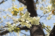 image0129