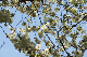 image0130