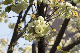 image0133