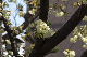 image0134