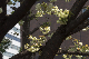 image0135