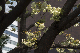 image0137
