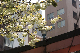 image0140