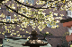 image0141
