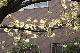 image0142