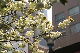 image0145