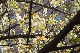 image0146