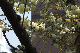 image0147
