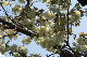 image0149