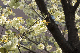 image0151